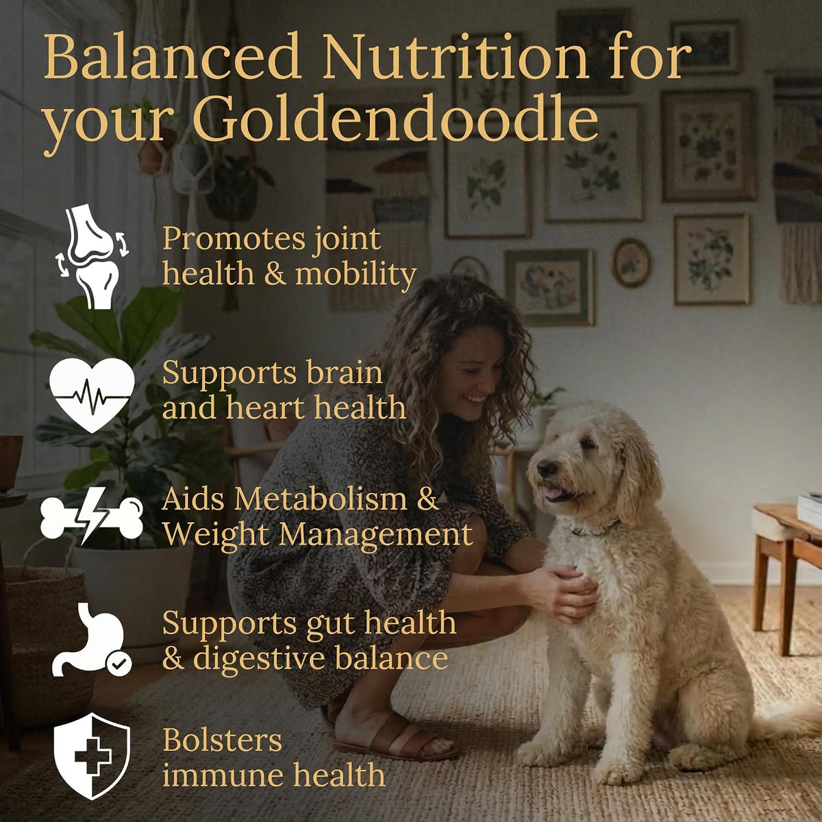 Prestige Breed Multivitamins, Balanced Nutrition for Your Goldendoodle, 90 Chews, Made in the USA with Real Bacon - görsel 2