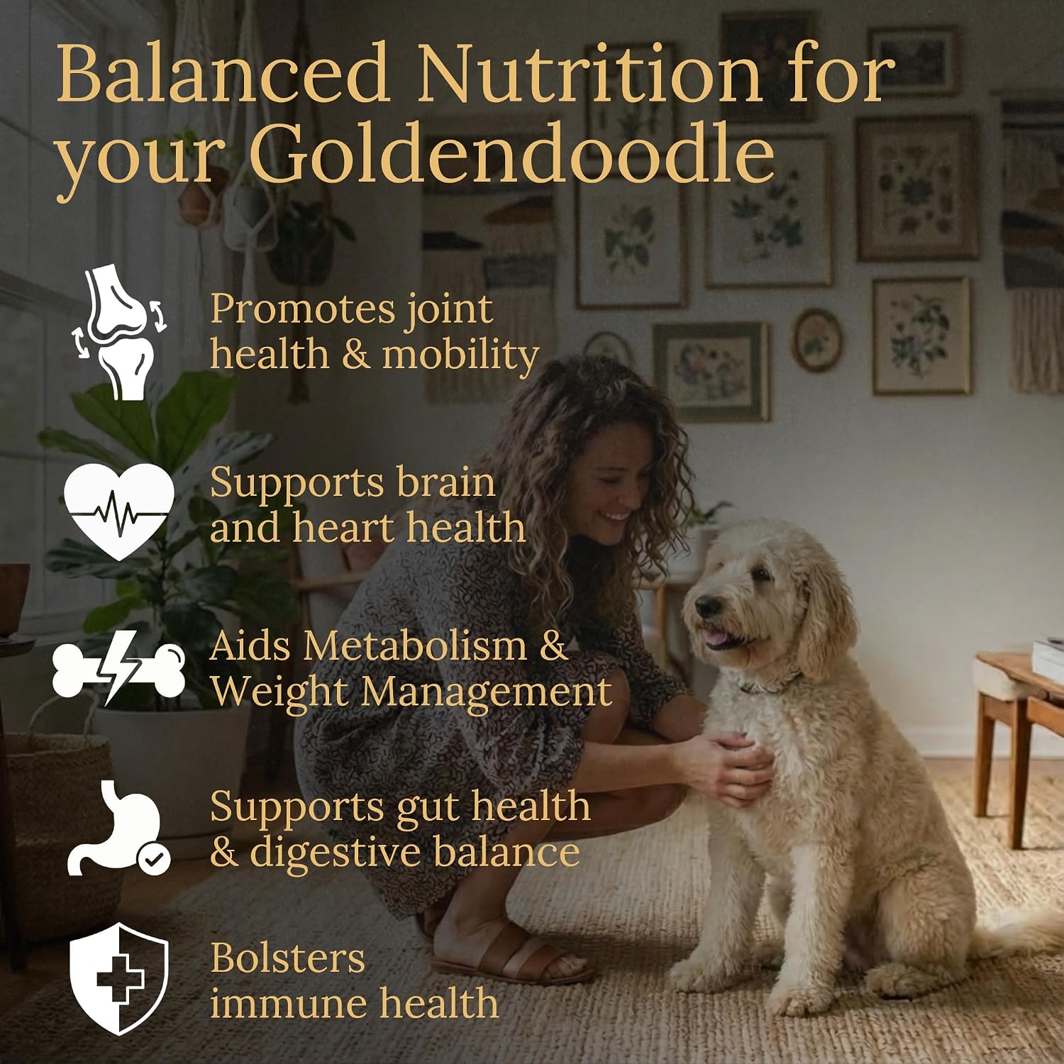 Prestige Breed Multivitamins, Balanced Nutrition for Your Goldendoodle, 90 Chews, Made in the USA with Real Bacon - görsel 2