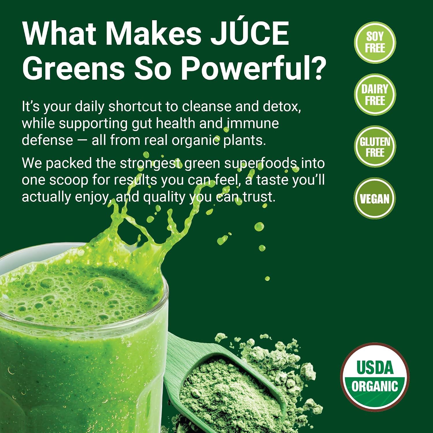 Terra Kai Organics Juce Greens Organic Superfood Powder - Harvest Apple, 20 Servings - görsel 3