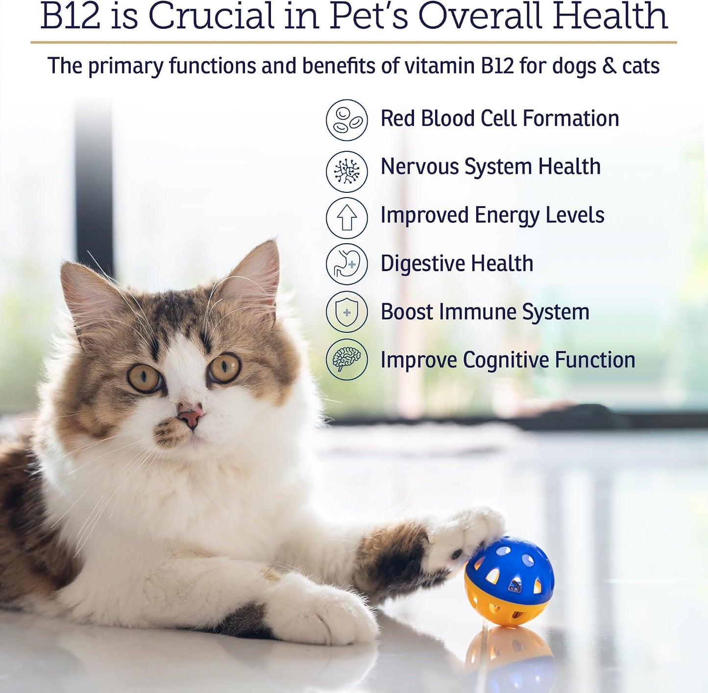 RX Vitamins B12 for Dogs and Cats - Liquid Vitamin B12 Supplement (118 ml) - görsel 3