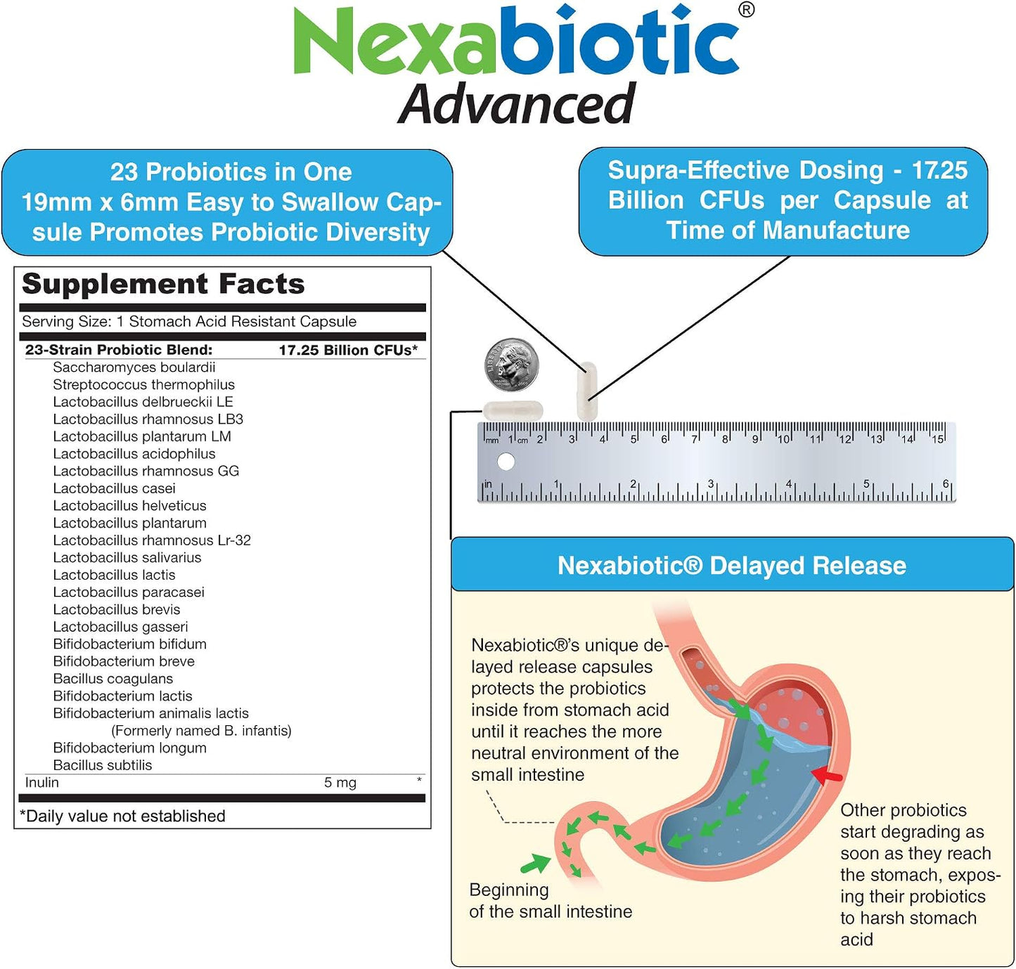 DrFormulas Nexabiotic Multi-Probiotic for Women and Men - 23 Strains with Saccharomyces Boulardii, Lactobacillus Acidophilus, Bifidobacterium Longum, Prebiotic - 60 Delayed-Release Capsules - görsel 4