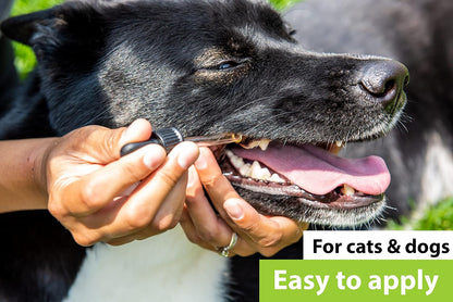 Dr. Judy Morgan's Dental Health Formula for Dogs & Cats, 30 ml
