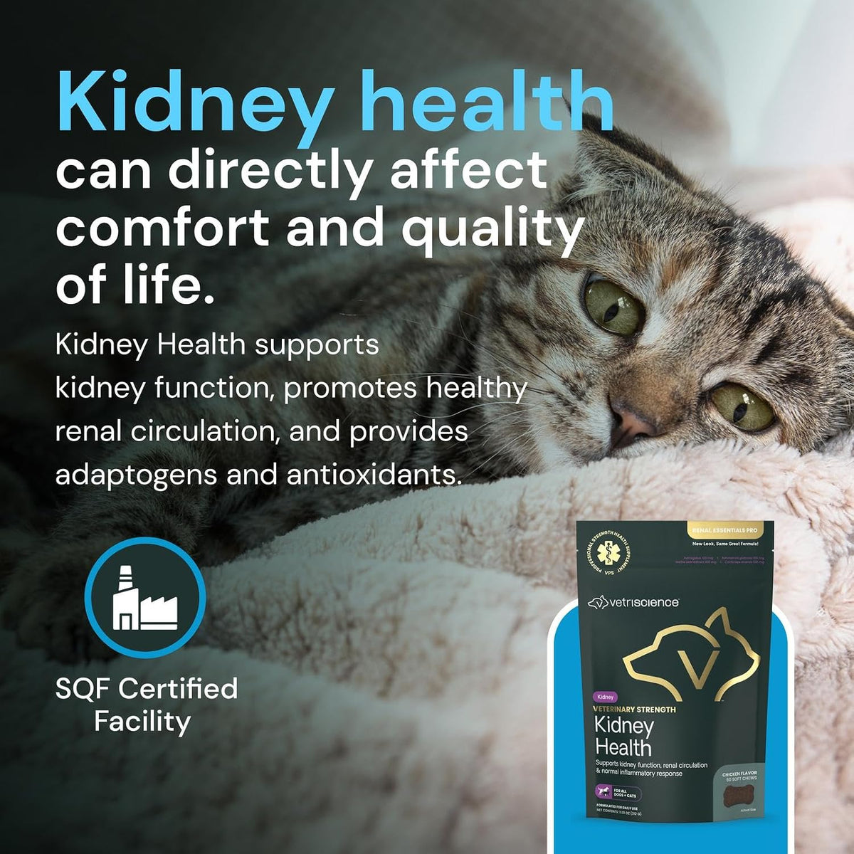 Vetriscience Veterinary Strength Kidney Health Chews - Balanced Kidney Support for Pets - Feline & Canine Renal Support - Holistic Formula - Chicken Liver Flavour - 60 Count - görsel 7
