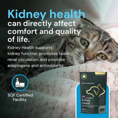 Vetriscience Veterinary Strength Kidney Health Chews - Balanced Kidney Support for Pets - Feline & Canine Renal Support - Holistic Formula - Chicken Liver Flavour - 60 Count