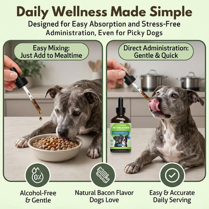 Pet Wellbeing Pet Melatonin for Dogs – Veterinary-Formulated Sleep Support, 118 ml