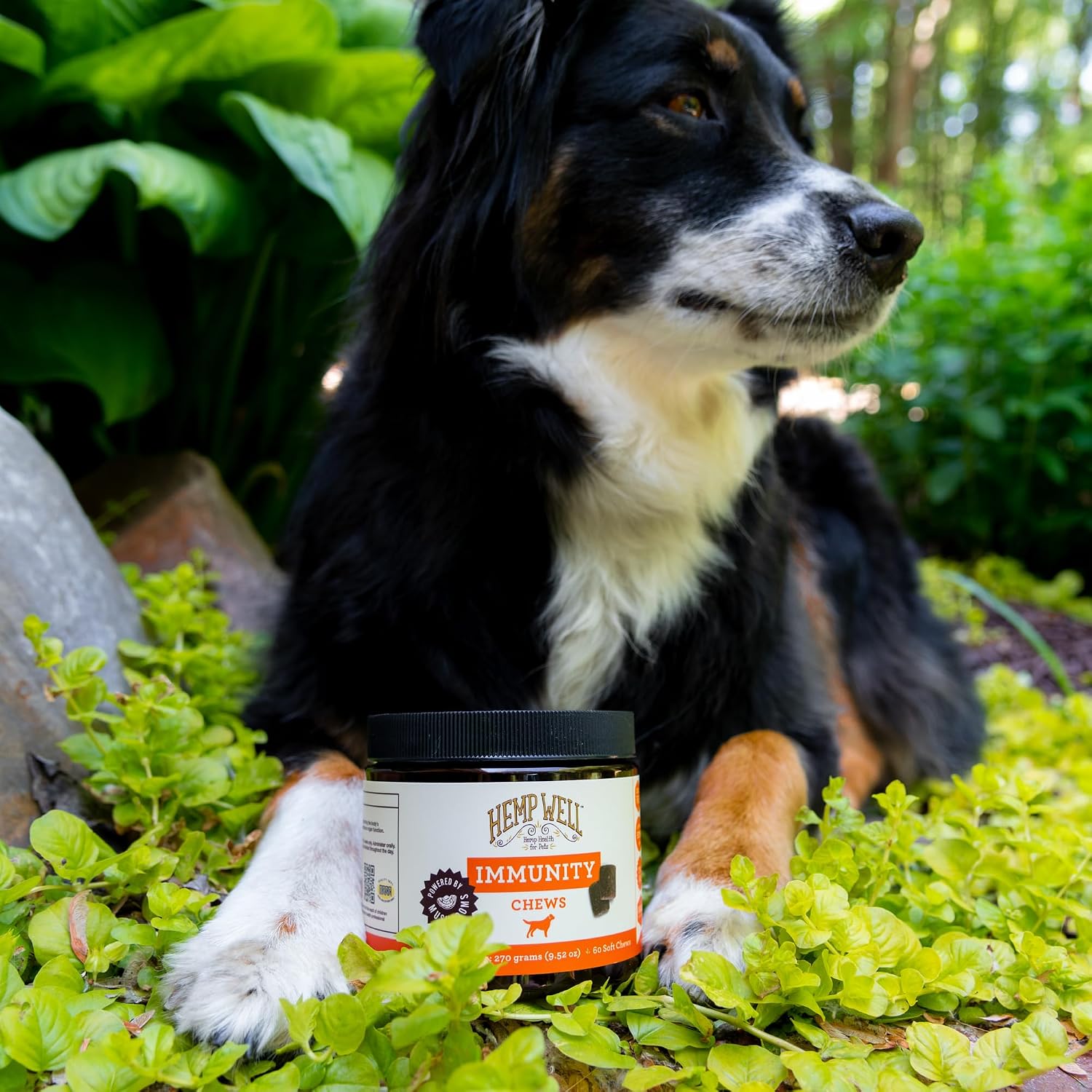 Hemp Well Immune & Gut Support Dog Soft Chews with Functional Mushrooms, 60 Count - görsel 5