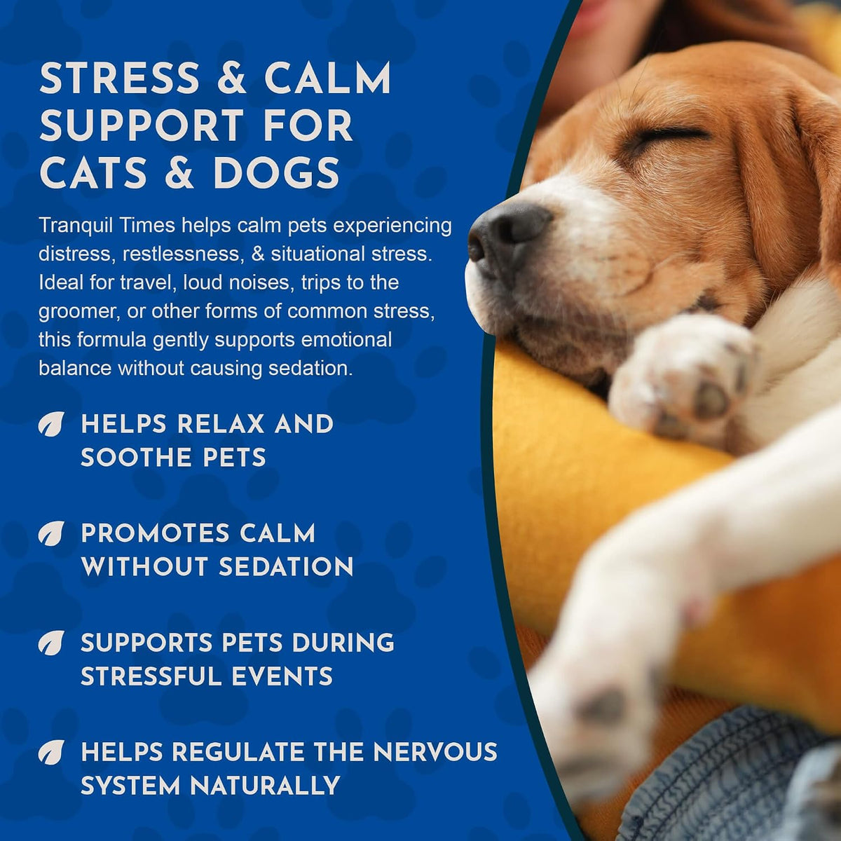 Tranquillity Blend - Organic Valerian Root Calming Drops for Dogs & Cats - görsel 5