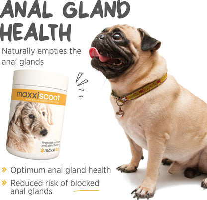 maxxiscoot Digestive & Gland Support for Dogs – Natural Powder Supplement for Stool Quality, Gut Health & Scooting Behaviour Support – Fibre-Rich Formula - 142g