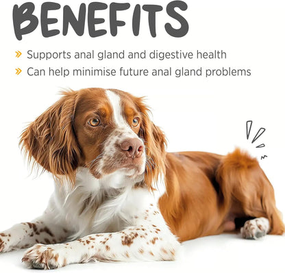 maxxiscoot Digestive & Gland Support for Dogs – Natural Powder Supplement for Stool Quality, Gut Health & Scooting Behaviour Support – Fibre-Rich Formula - 142g