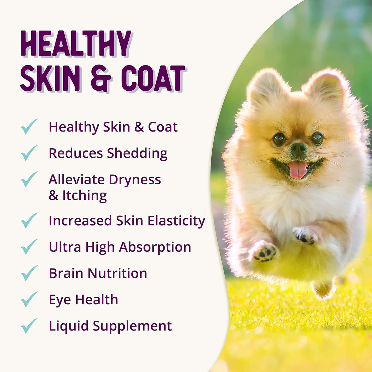 Health Extension Skin & Coat Supplement for Dogs and Puppies, 473 ml - görsel 7