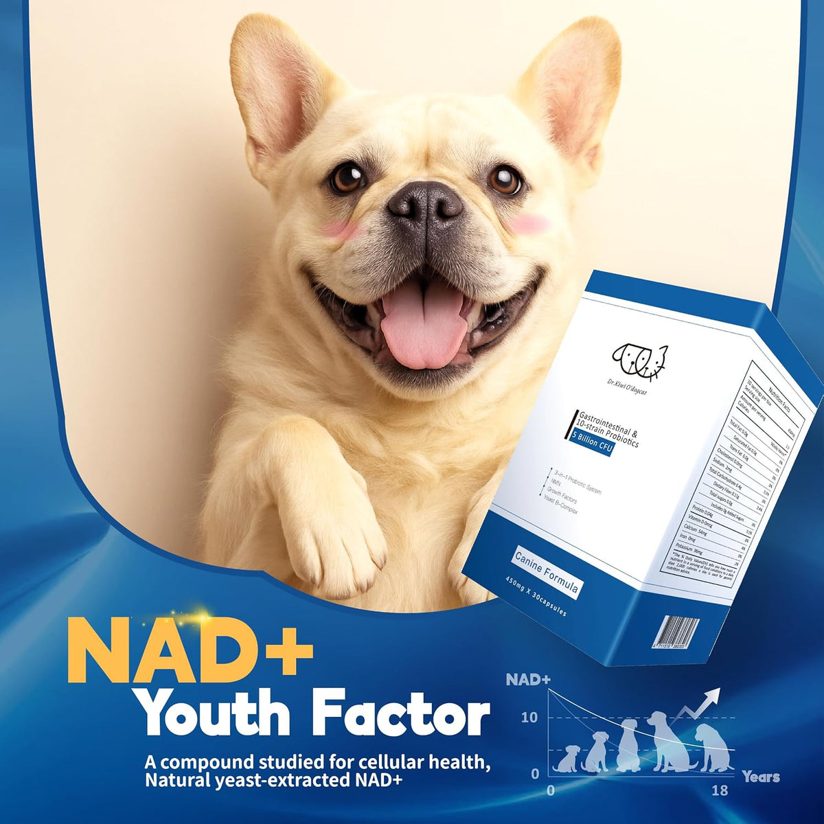 Dr. Kiwi O'dogcat Probiotics for Dogs - görsel 6