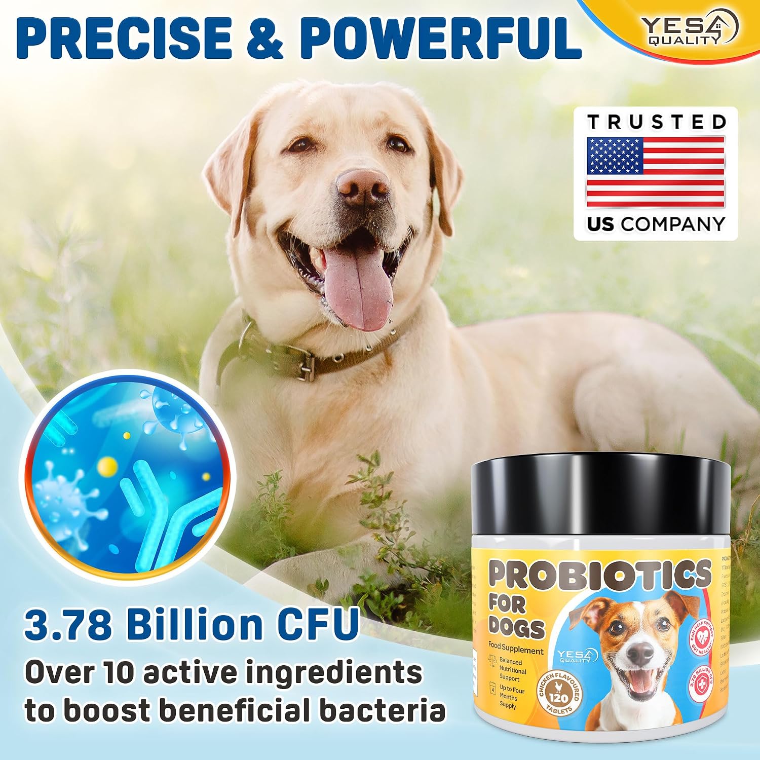 Dog Probiotics - Prebiotic & Probiotic Chews - Supports Immunity, Digestive & Gut Health - 120 Chicken Flavoured Tablets - görsel 2