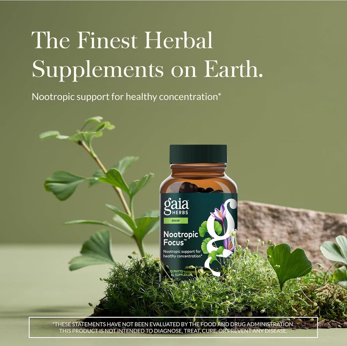 Gaia Herbs Nootropic Focus – Herbal Brain Supplement with Saffron, Lemon Balm and Spearmint – 40 Liquid Phyto-Capsules - görsel 2