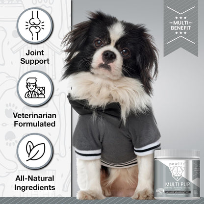 Pawlife All Natural Multivitamin Soft Chews for Dogs - Glucosamine, Chondroitin & Probiotics for Joint, Gut & Immune Health - 4-Month Supply