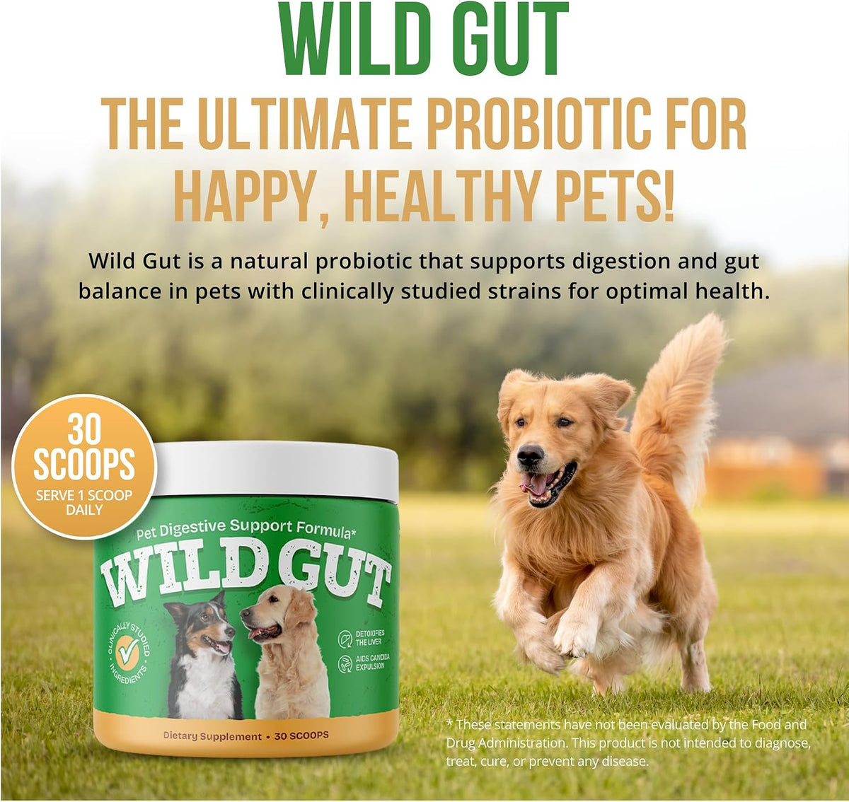 Wild Gut - Natural Probiotic Supplement for Pets | Supports Digestive Health & Gut Microbiome | 8 Probiotic Strains | 3 Bottles - görsel 1