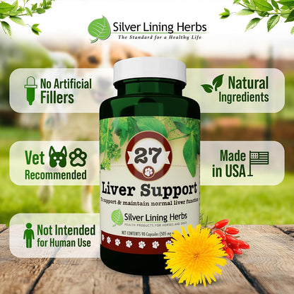 Dog Liver Support - Natural Herbal Dog Vitamins with Milk Thistle Extract, Turmeric, Chamomile & More - Daily Canine Wellness for Liver Support - 90 Capsules