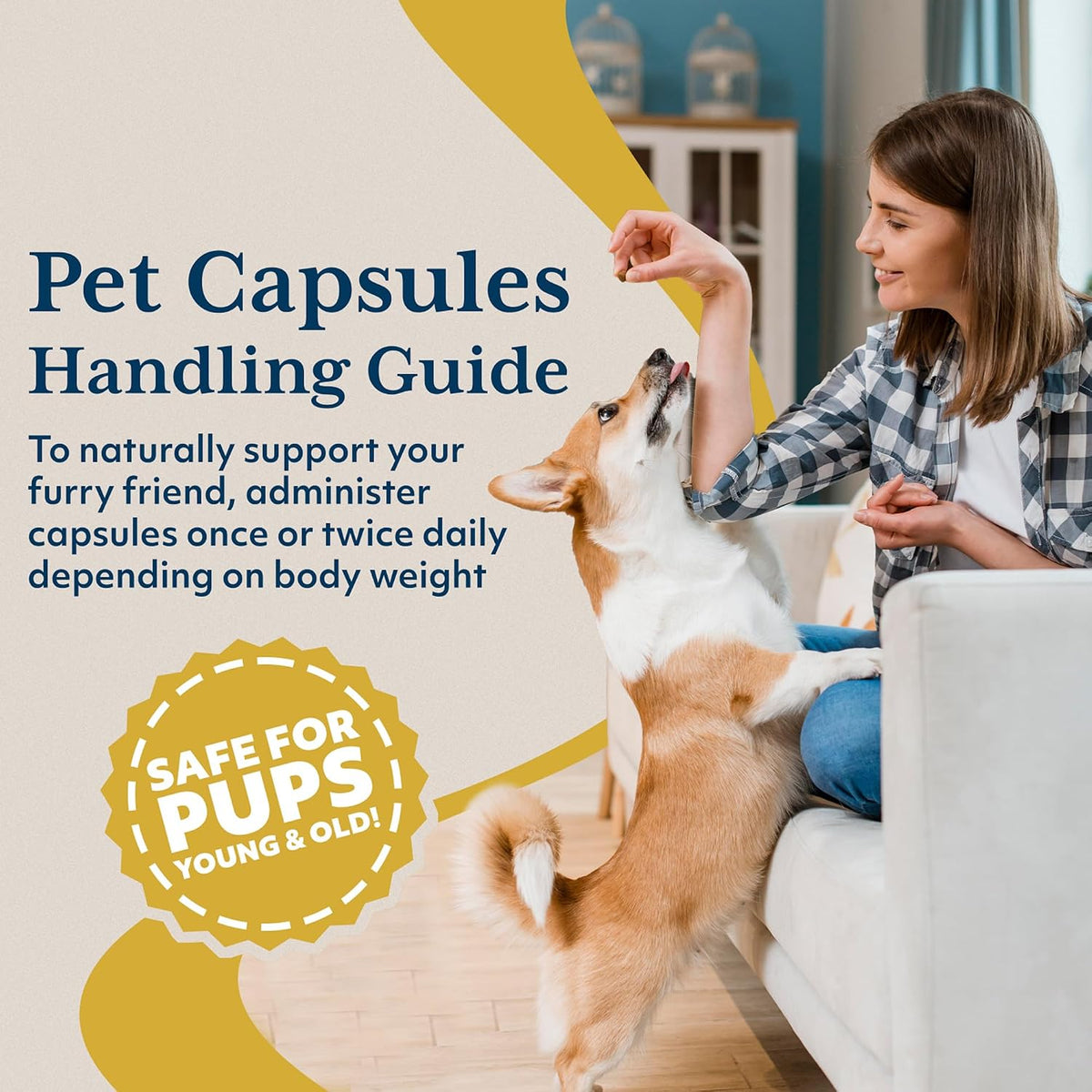 Ayush Pet Neem Plus – Neem Supplement for Dogs, 90 Capsules - görsel 5