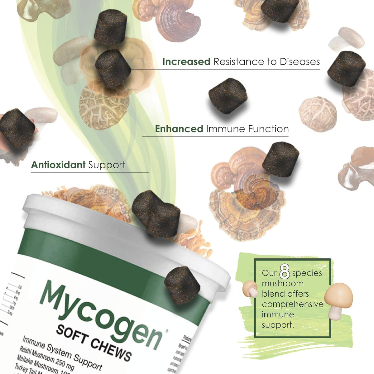 Mycogen Immune Support for Dogs – Beta Glucan, Reishi, Shiitake & Maitake Mushroom Blend – 60 Tasty Liver-Flavoured Soft Chews - görsel 2