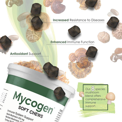 Mycogen Immune Support for Dogs – Beta Glucan, Reishi, Shiitake & Maitake Mushroom Blend – 60 Tasty Liver-Flavoured Soft Chews