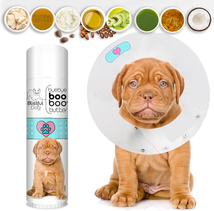 The Blissful Dog 15 g Tube Dogue De Bordeaux Booboo Butter