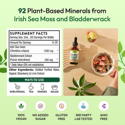 Pella Nutrition Sea Moss Drops with Bladderwrack – Liquid Supplement for Immune & Digestive Support (Strawberry Lime, 60ml)