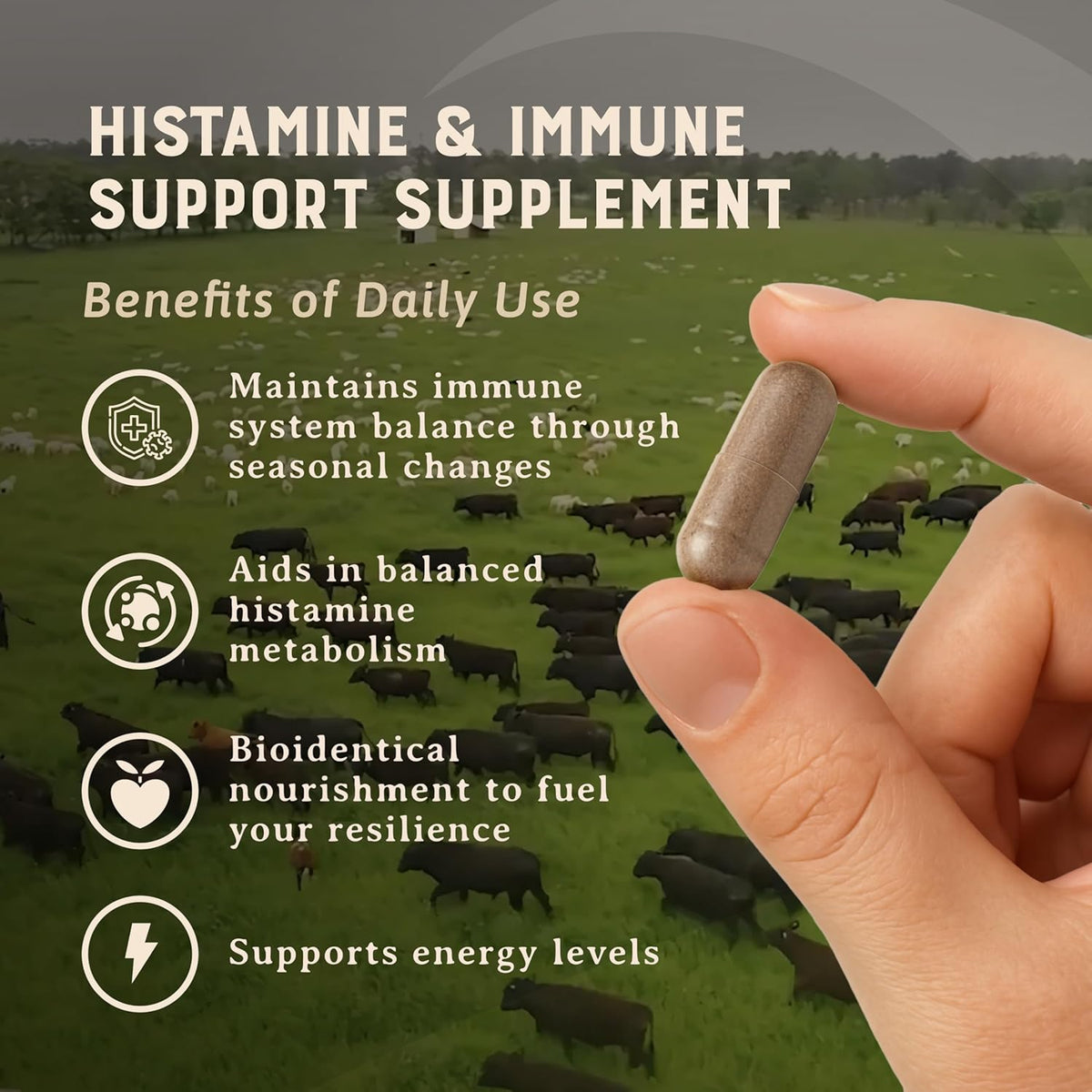 HEART & SOIL – 100% Grass Fed & Finished Histamine & Immune Support Supplement with Thymus, Lung, Spleen, Liver, & Kidney – Immune Defence – Glass Bottle – 180 Capsules - görsel 3