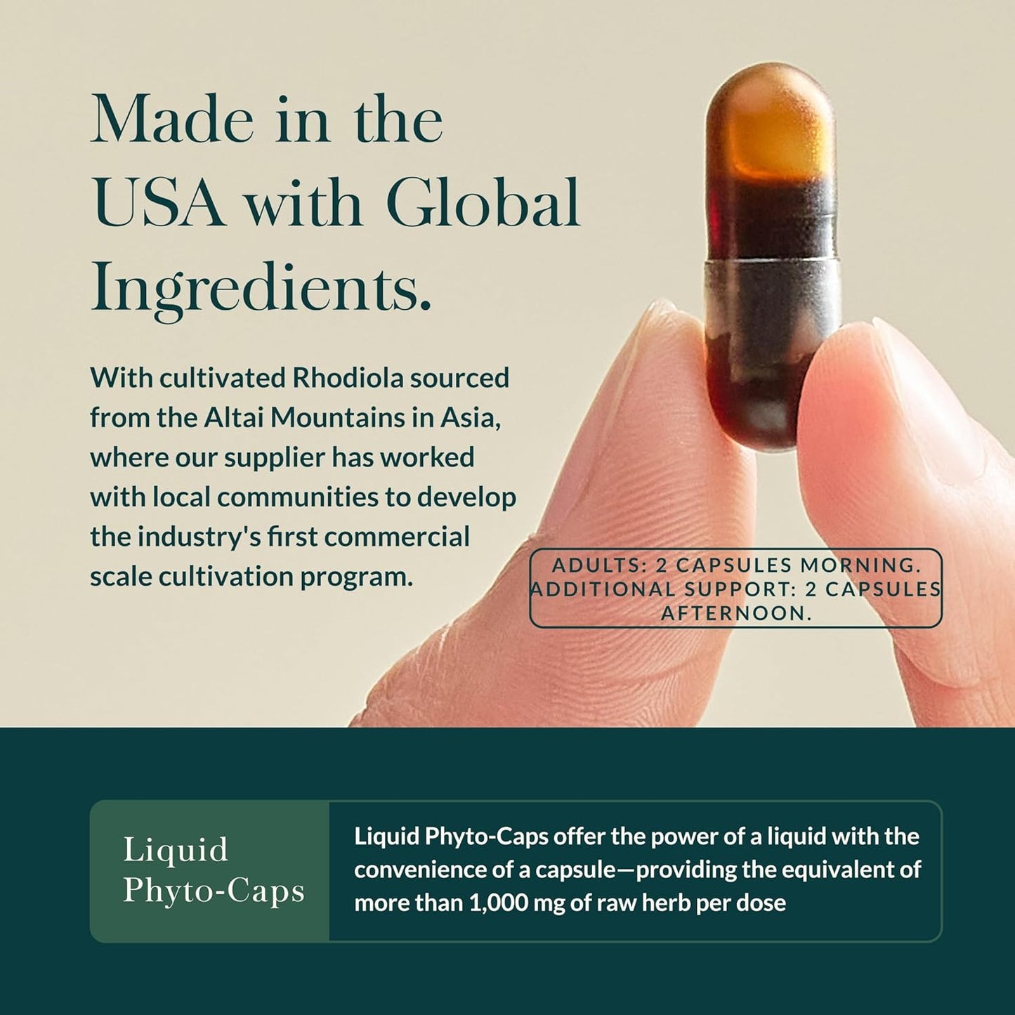 Gaia Herbs Stress Response - Adaptogen Blend with Rhodiola, Holy Basil & Ashwagandha - 30 Vegan Liquid Phyto-Caps - görsel 4