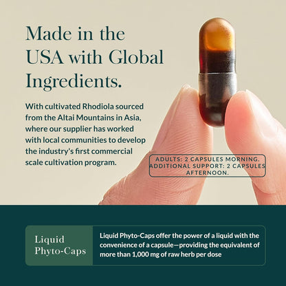 Gaia Herbs Stress Response - Adaptogen Blend with Rhodiola, Holy Basil & Ashwagandha - 30 Vegan Liquid Phyto-Caps