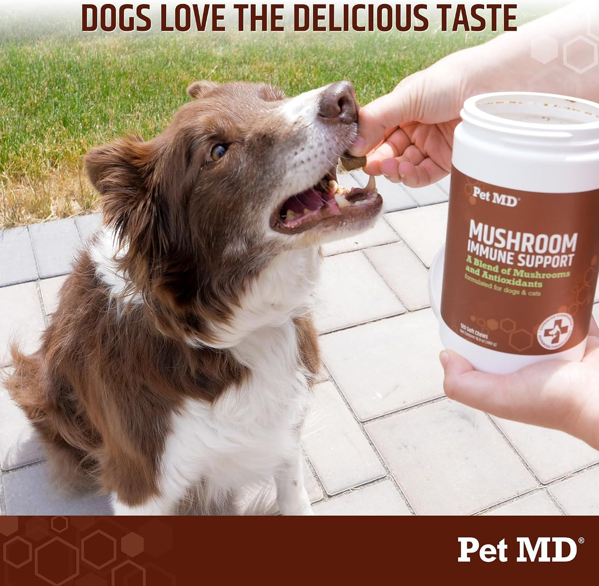 Pet MD Mushroom Immune Support for Dogs & Cats - Turkey Tail, Shiitake, Milk Thistle & CoQ10 Supplement - 120 Soft Chews - görsel 6