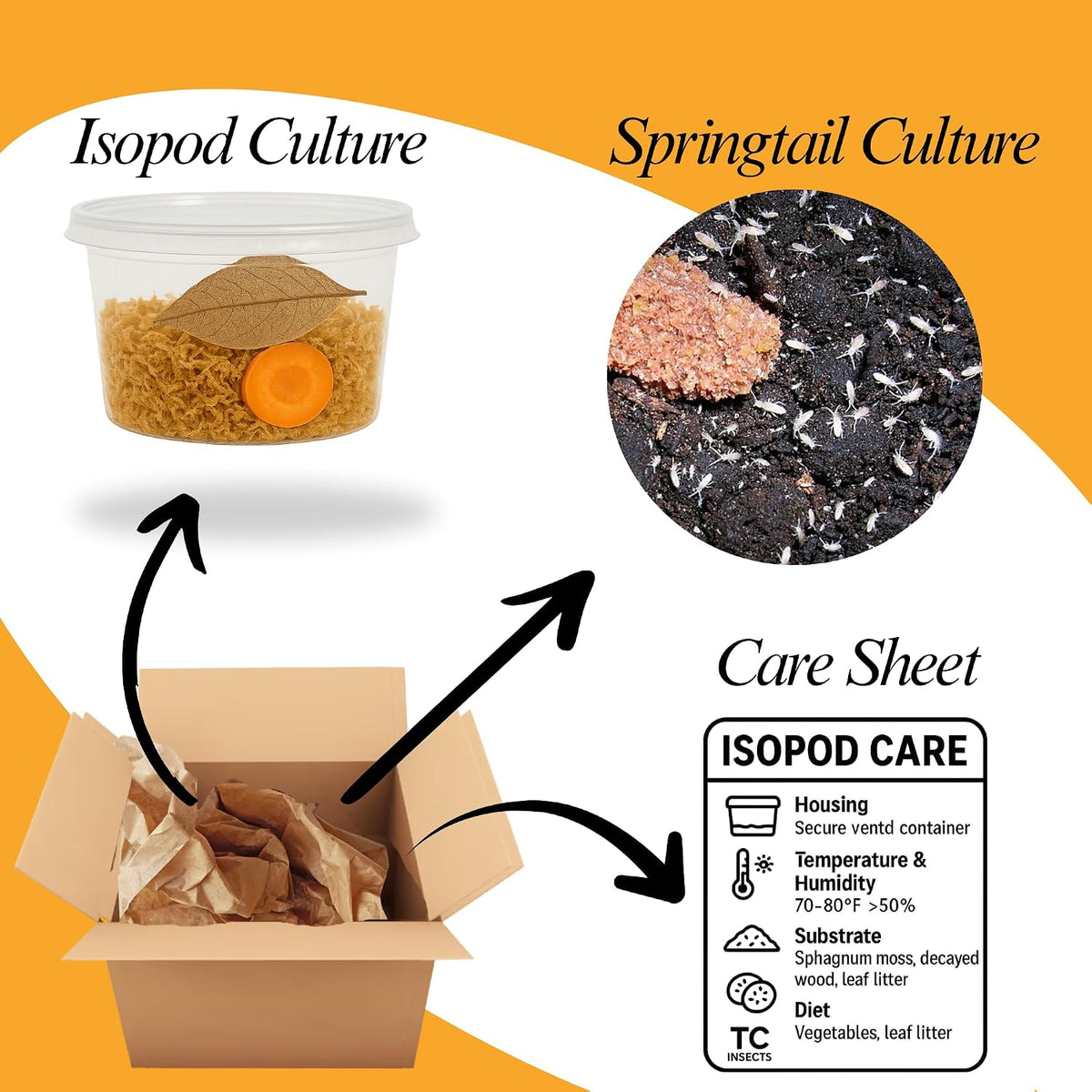 Bioactive Combo | 25 Powder Orange Isopods | 8 oz Coco Temperate Springtails | Live Delivery Guaranteed - görsel 2