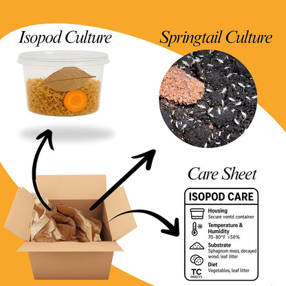 Bioactive Combo | 25 Powder Orange Isopods | 8 oz Coco Temperate Springtails | Live Delivery Guaranteed