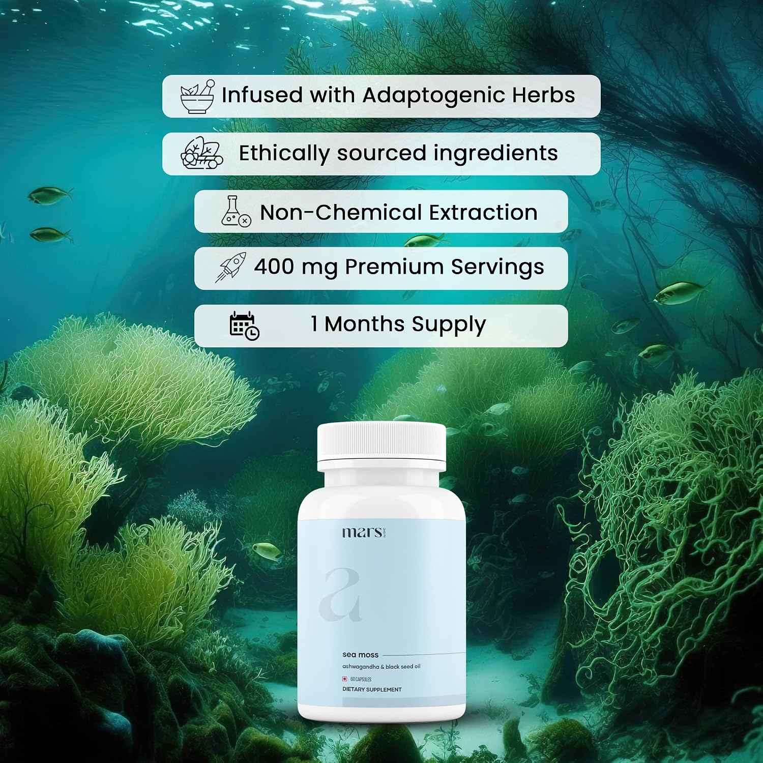 Mars Sea Moss Capsules Surge Natural – Pack of 3 - görsel 4