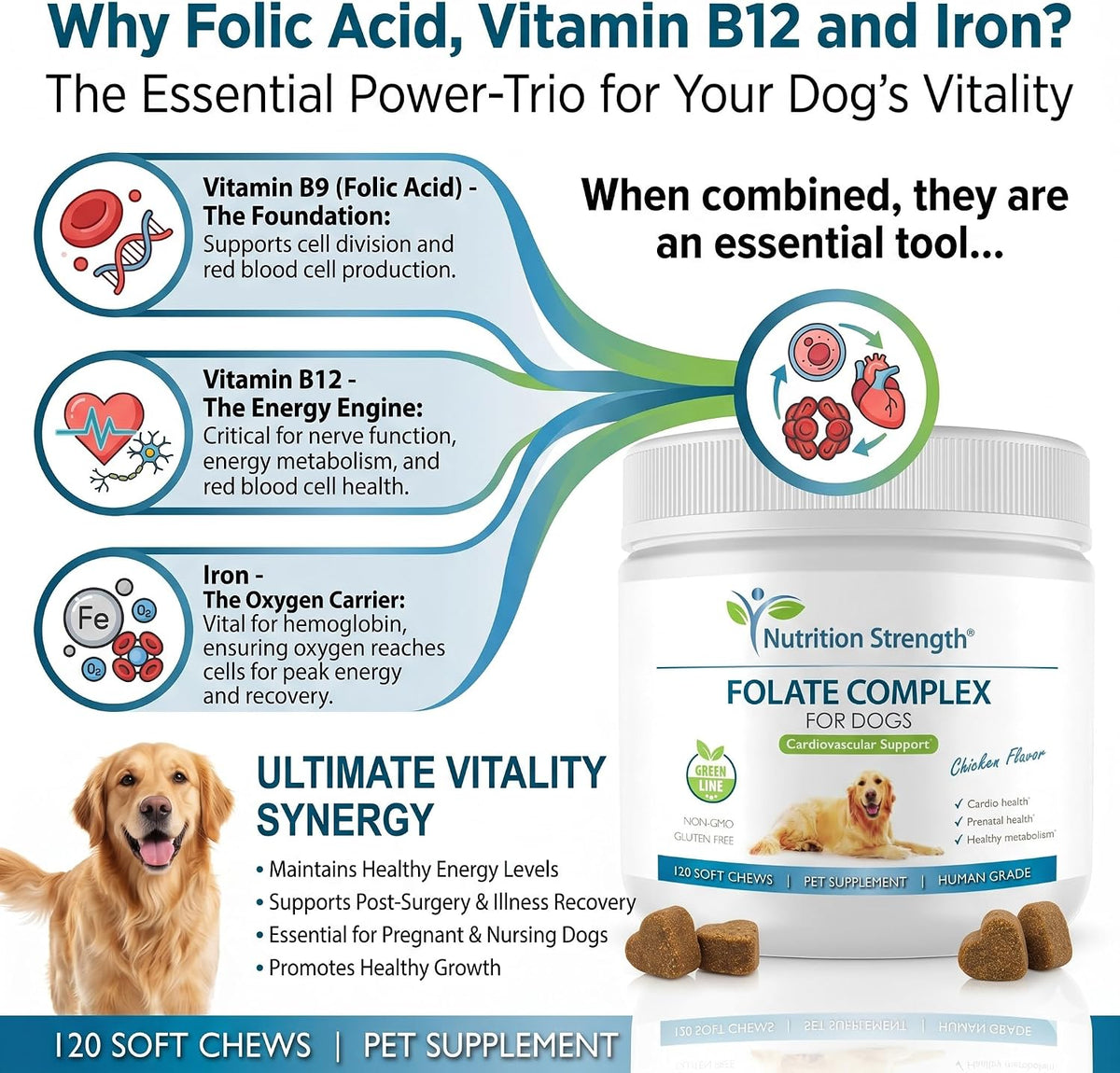 Nutrition Strength Folate for Dogs – Cardiovascular & Prenatal Support, DNA Synthesis, with Zinc, Biotin, Iron & Vitamin B12, 120 Soft Chews - görsel 3
