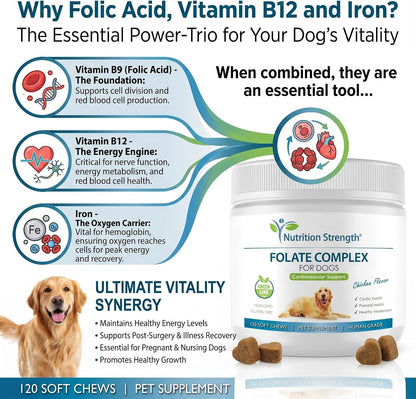 Nutrition Strength Folate for Dogs – Cardiovascular & Prenatal Support, DNA Synthesis, with Zinc, Biotin, Iron & Vitamin B12, 120 Soft Chews