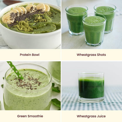 Wheatgrass Powder 454g - Certified Organic, Non-GM, Vegan