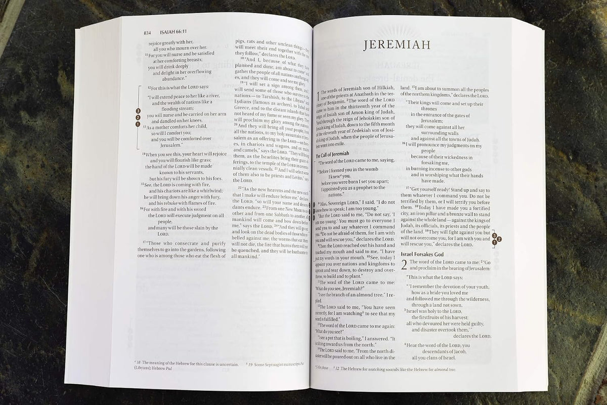 NIV, Recovery Devotional Bible, Paperback - görsel 5