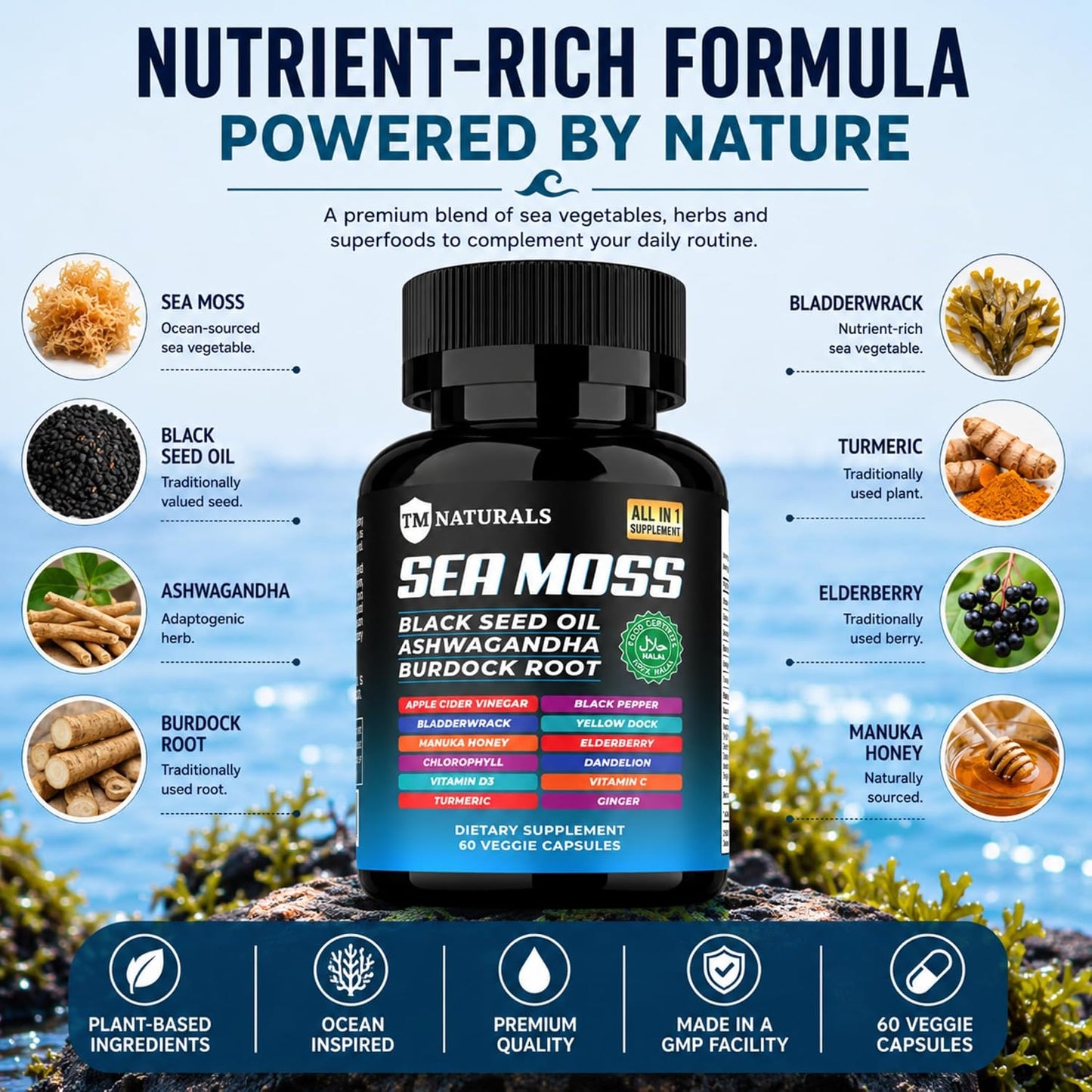 Sea Moss with Black Seed Oil, Vitamin C, Ashwagandha and Turmeric for Immune Support & Energy – 60 Vegan Capsules + Free Pill Box - görsel 2