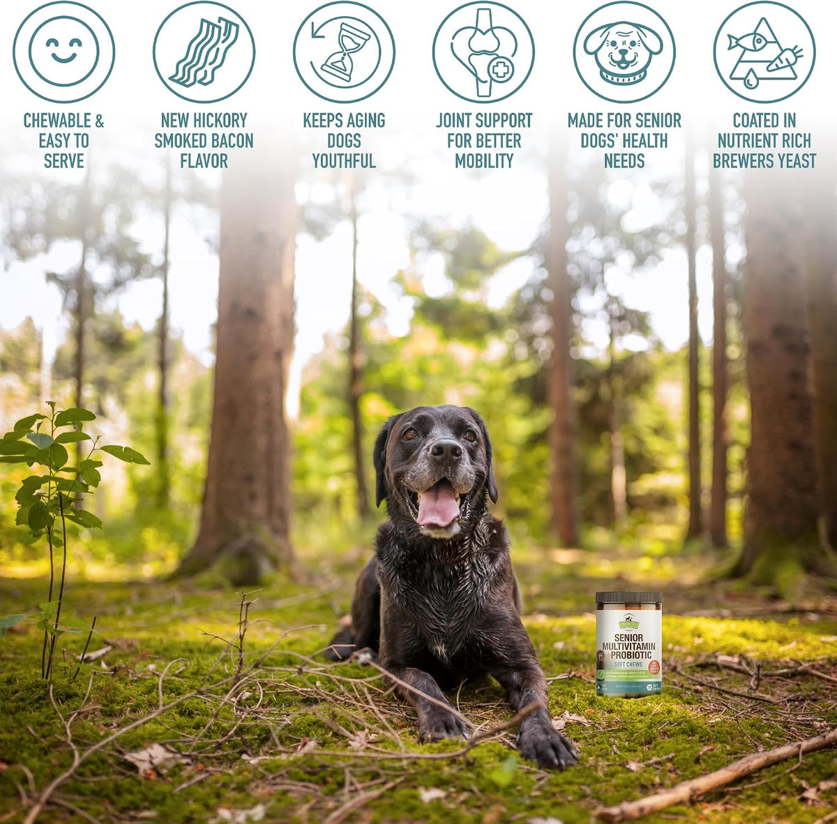 Senior Multivitamin + Probiotics for Dogs with Milk Thistle Joint Support Supplement - Bacon Flavour, 120 Soft Chews - görsel 8