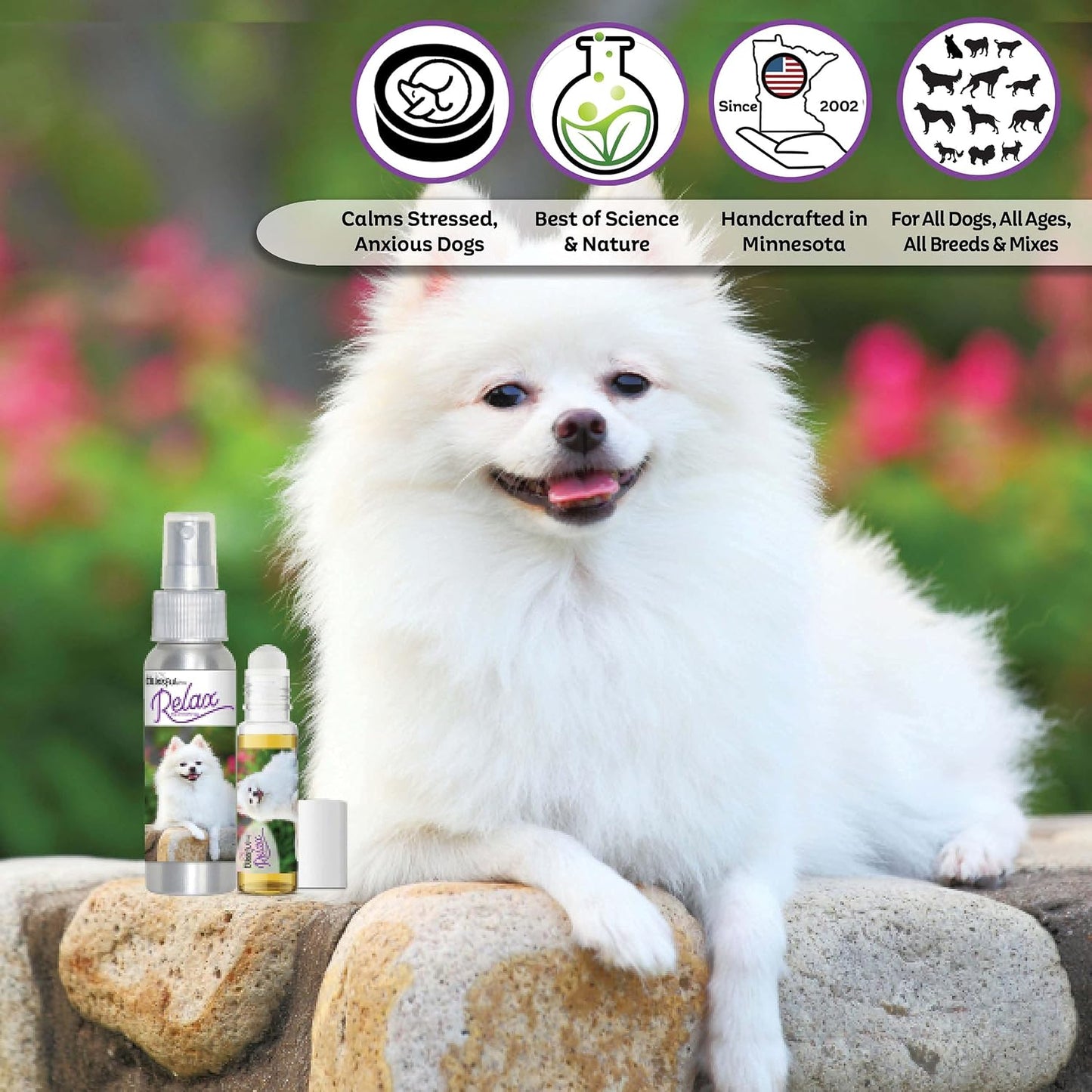 The Blissful Dog American Eskimo Relax Aromatherapy Spray for Dogs - görsel 2