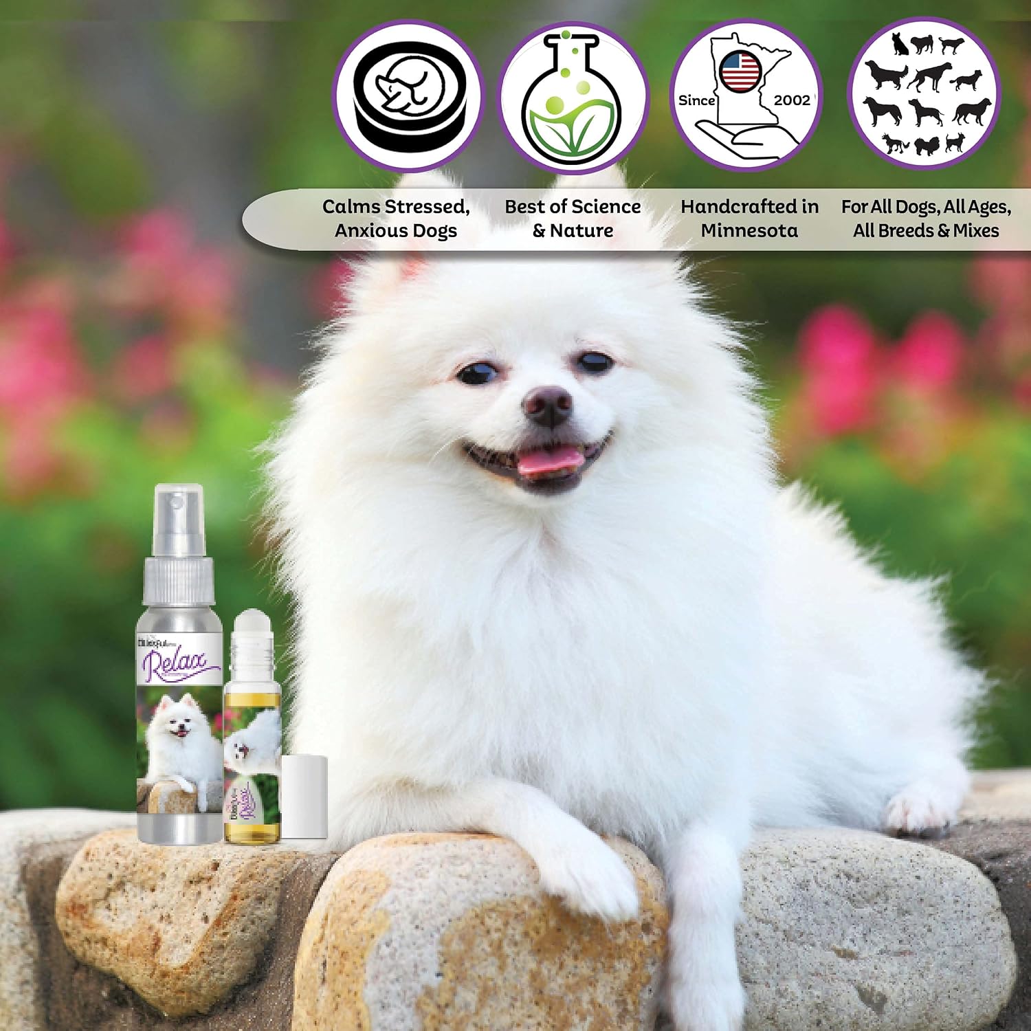 The Blissful Dog American Eskimo Relax Aromatherapy Spray for Dogs - görsel 2