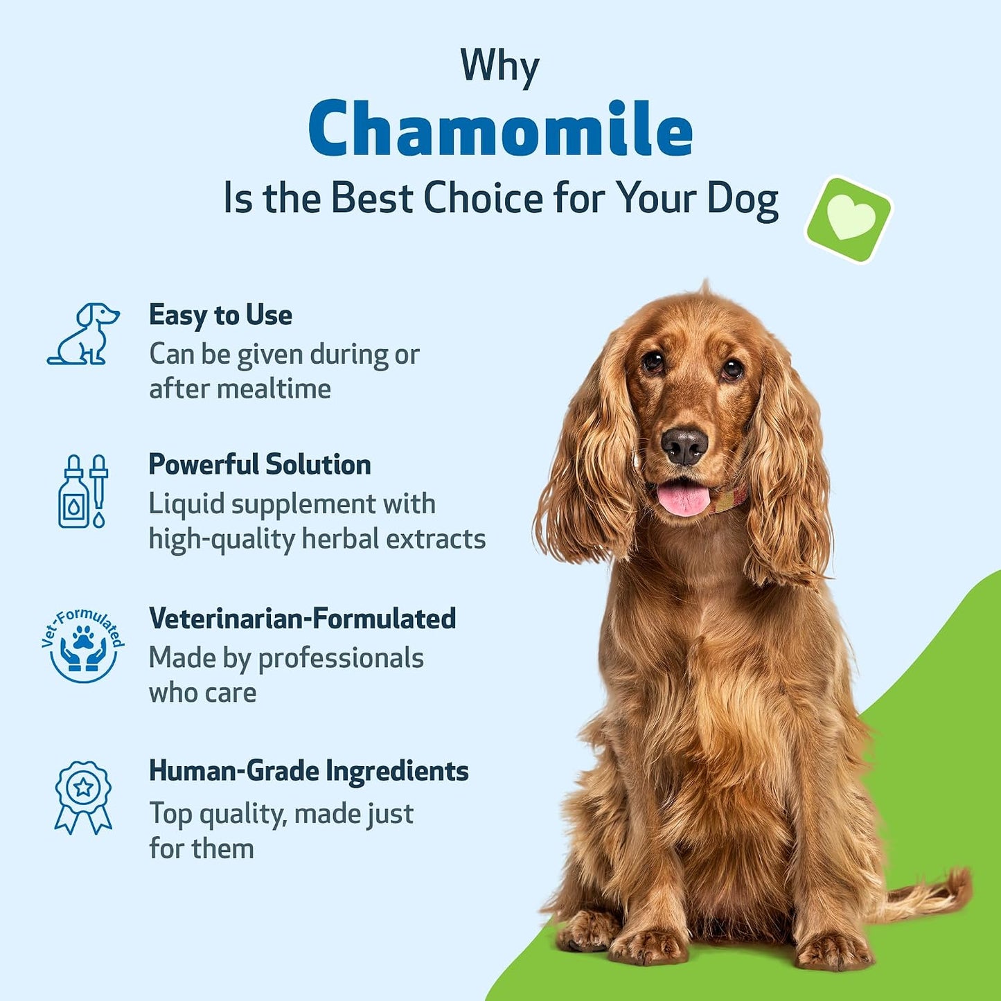 Pet Wellbeing Chamomile for Dogs - Organic Single Herb Supplement - Gentle Digestive Support, Holistic Calming - Pure Chamomile Extract - Vet-Formulated Liquid Wellness 2 oz (59ml) - görsel 3