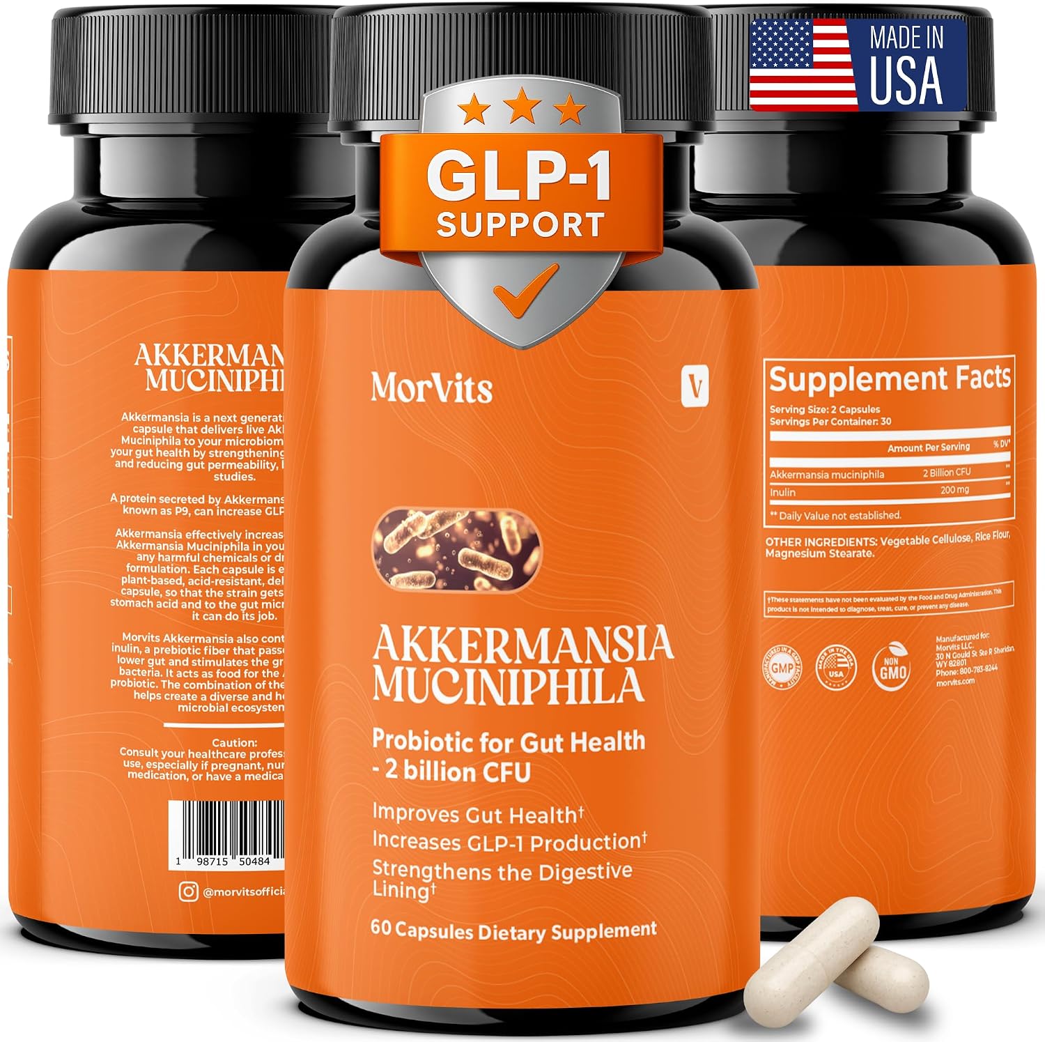 Morvits Akkermansia Probiotic with Prebiotic Fibre - 60 Capsules - görsel 1
