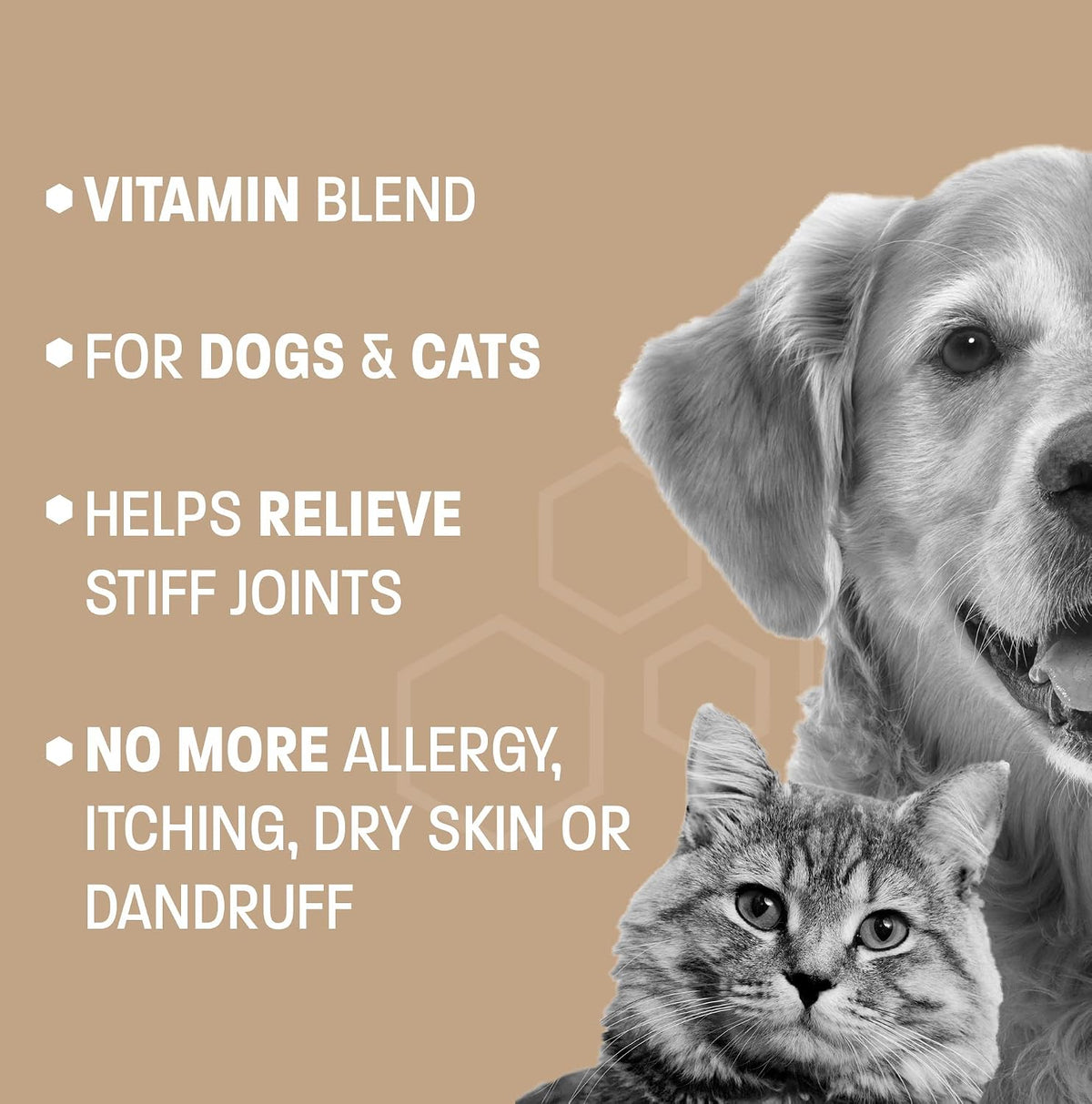 Pet Health Pros Omega-3 Pro Fish Oil for Dogs and Cats - Skin & Coat Supplement with Pump - 227 ml (8 fl oz) - görsel 4