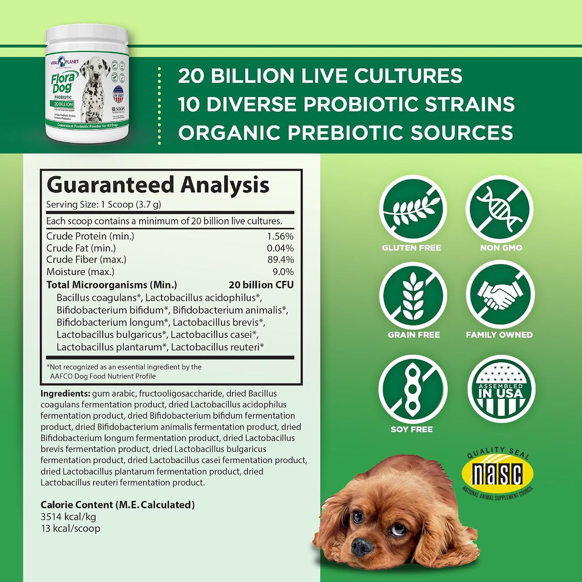 Vital Planet Flora Dog Probiotic Powder – 20 Billion Cultures & 10 Strains for Dogs - görsel 2