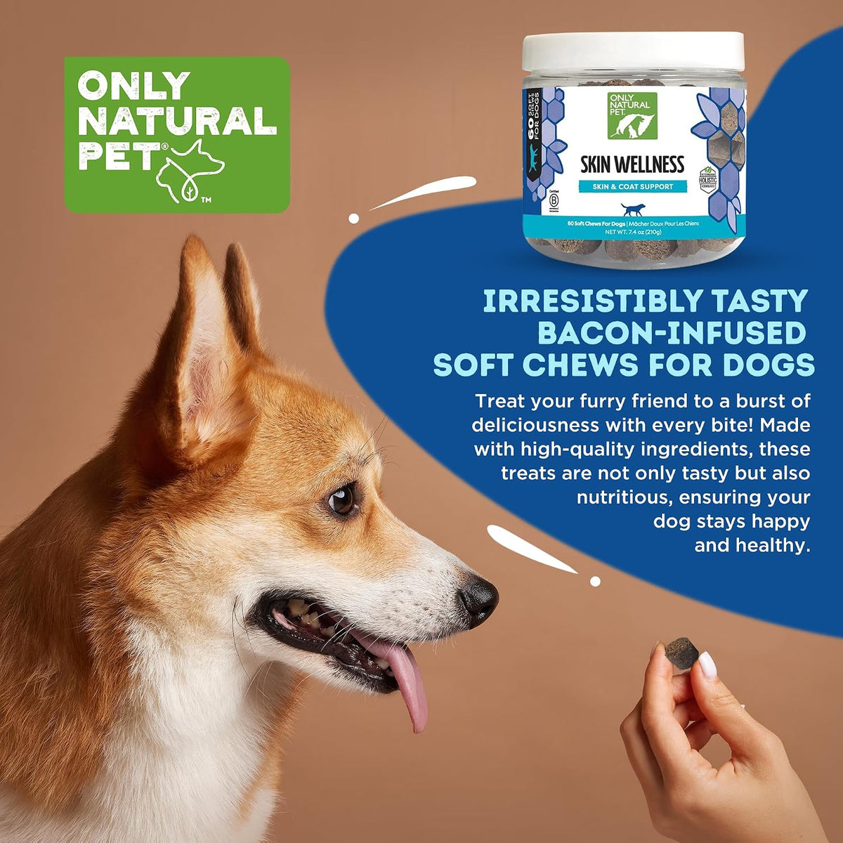 Only Natural Pet Skin Wellness Soft Chew 60 Chews - görsel 4