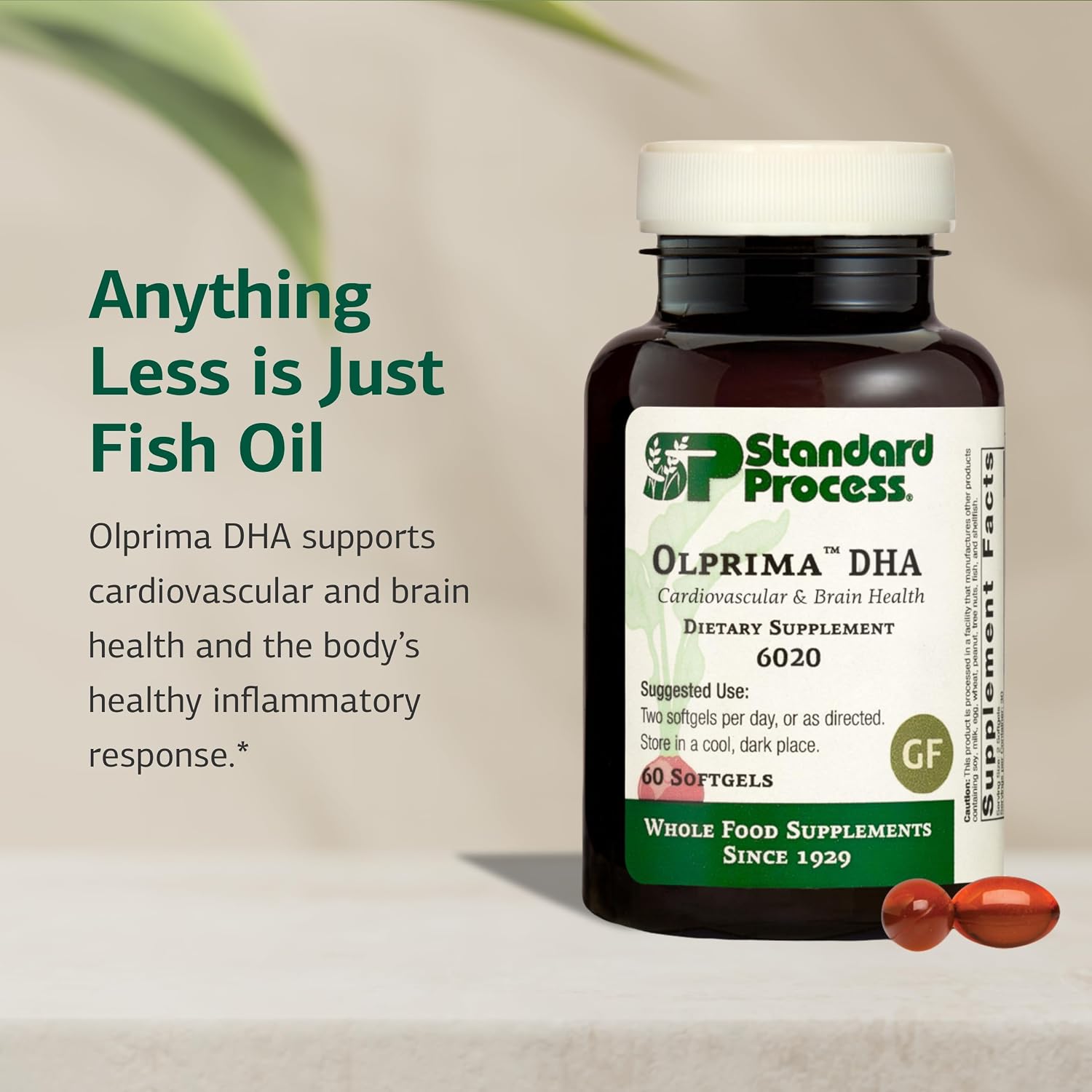 Standard Process Olprima DHA - Omega-3 DHA Food Supplement for Heart and Brain Health - görsel 3