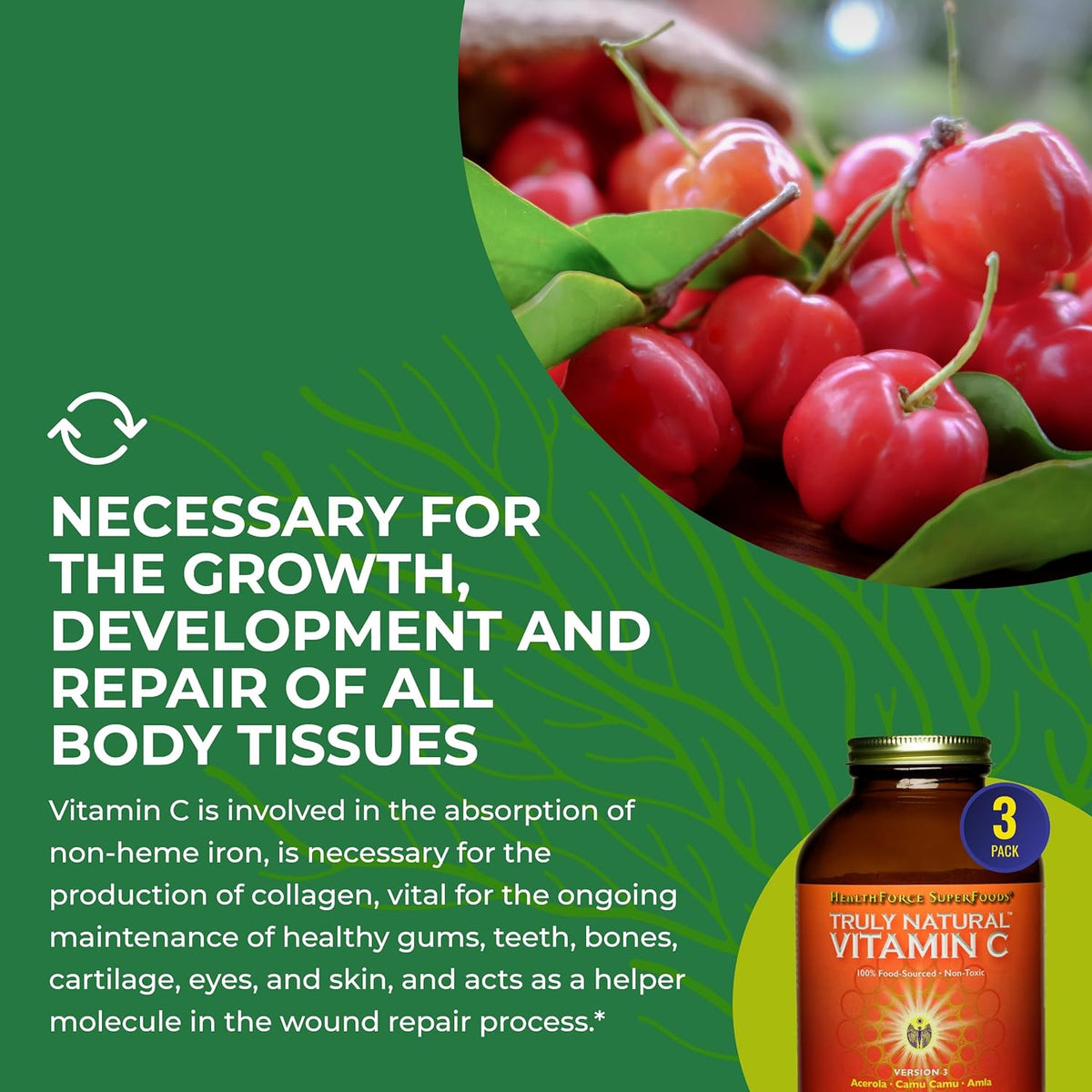 HEALTHFORCE SUPERFOODS Truly Natural Vitamin C Powder - Camu Camu & Acerola - 400g - görsel 6