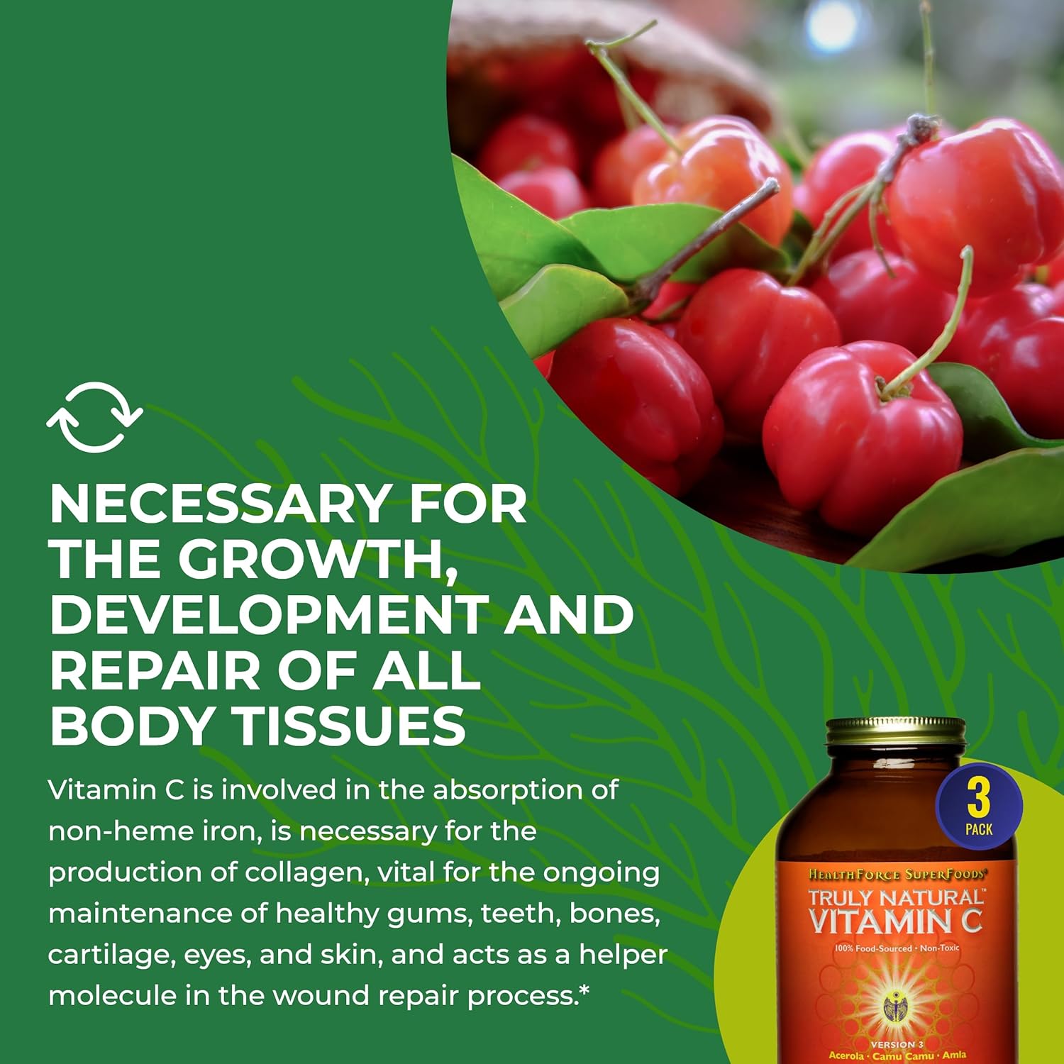 HEALTHFORCE SUPERFOODS Truly Natural Vitamin C Powder - Camu Camu & Acerola - 400g - görsel 6