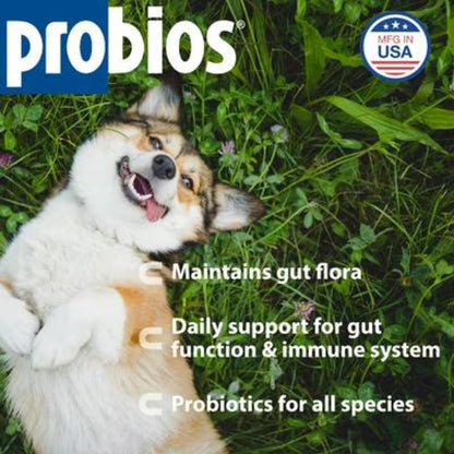 Probios Digestive Support Probiotic for Dogs, Horses, Cats - 240 Grammes