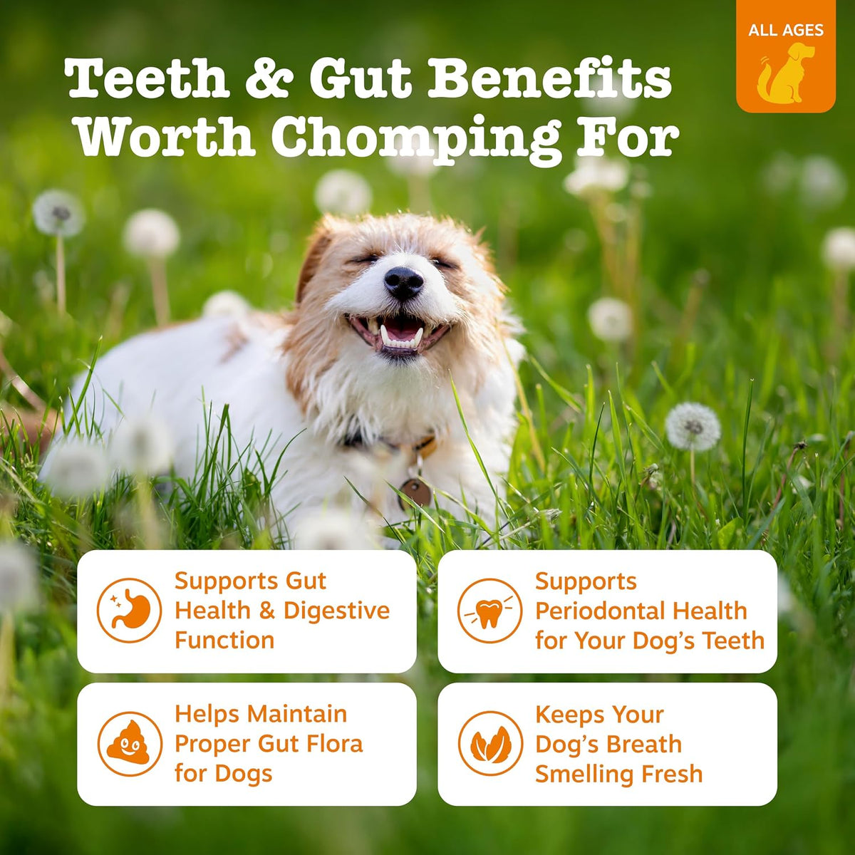 Zesty Paws OraStix for Dogs - Probiotic Sticks with Hemp Seed, Curcumin, Ginger Root, Taurine - Supports Gut Function, Immune System and Dental Health - 12oz - görsel 2